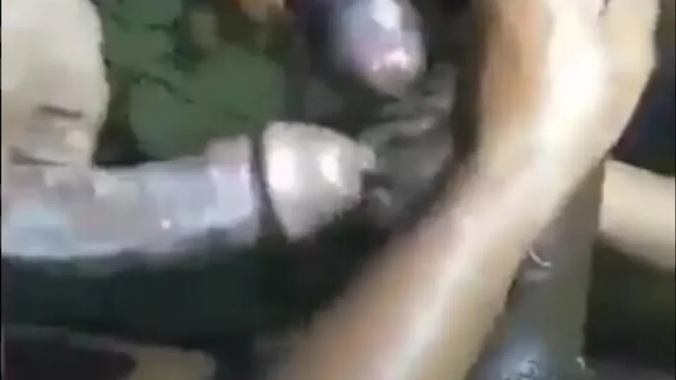Black men mutual masturbation and frotting - ThisVid.com