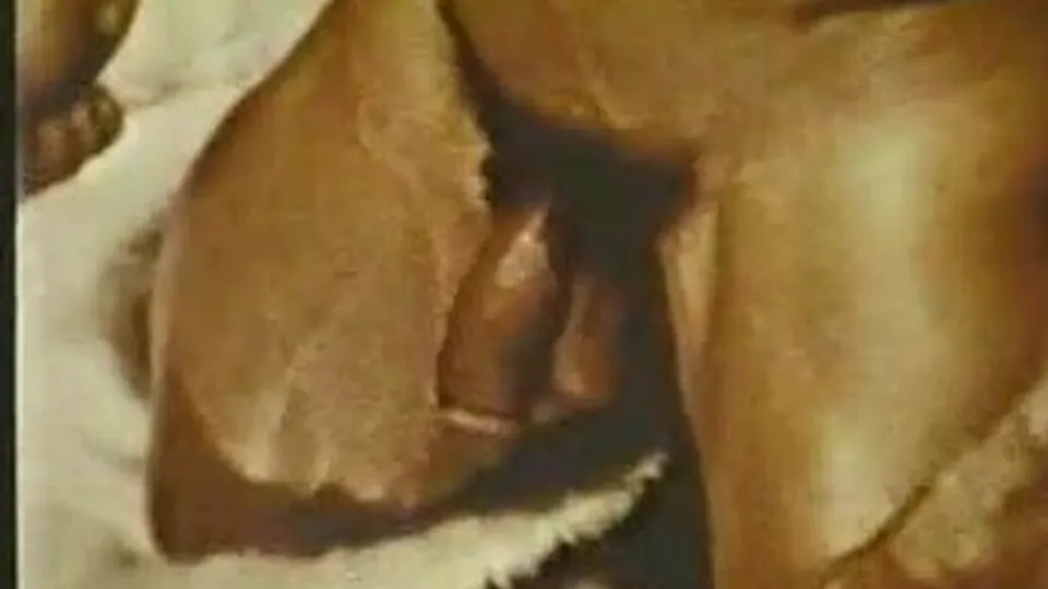 Black Muscle Worship: Vintage Gay Scene