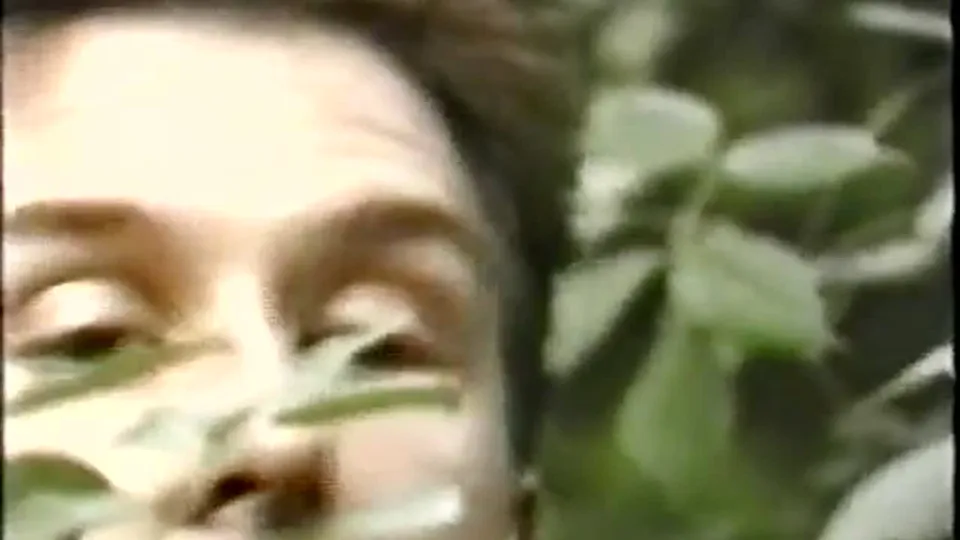 Bleisch and Boys in Creamy Threesome