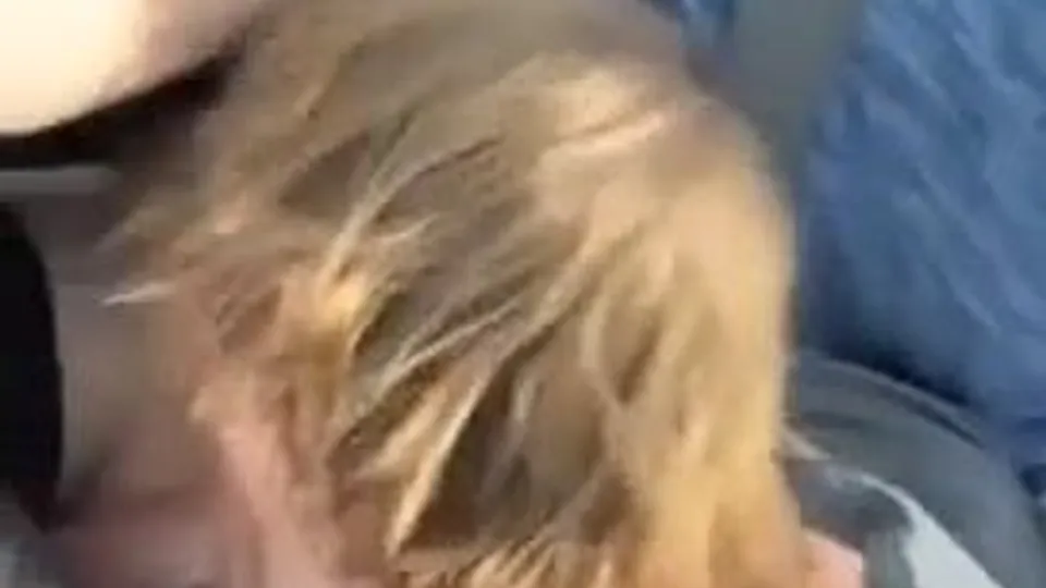 Blonde boy suck his friend cock in the car