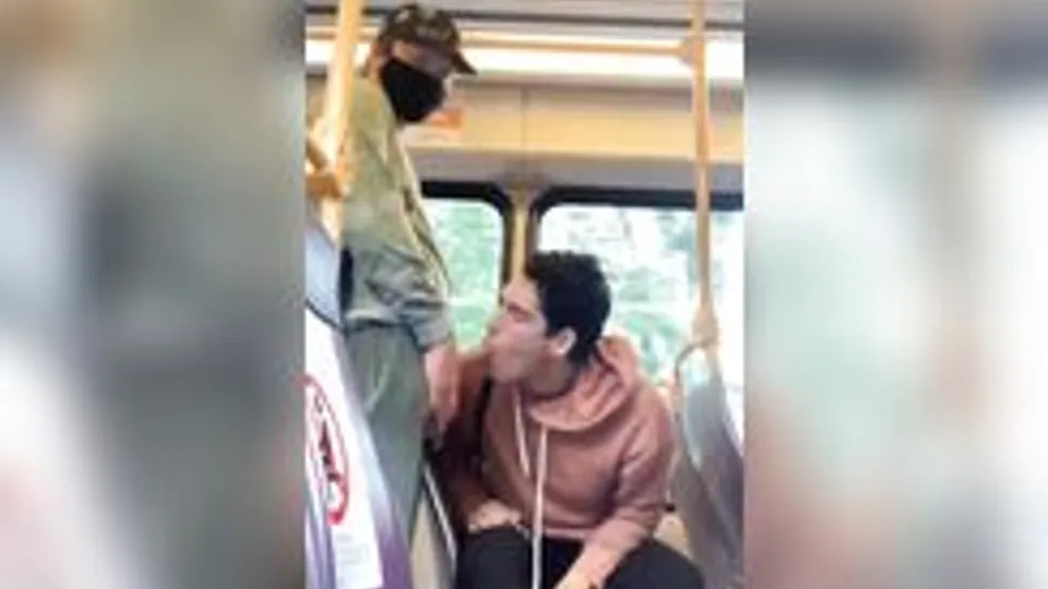 Blowjob in train