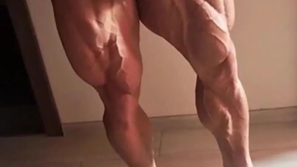 Bodybuilder - video 109 - ThisVid.com
