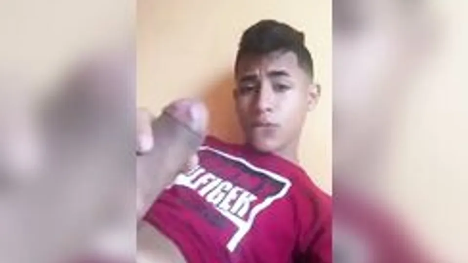 Twink Boys Masturbate in House Webcam