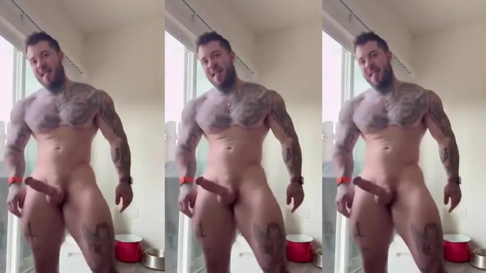 Compilación de pollas erectas gay