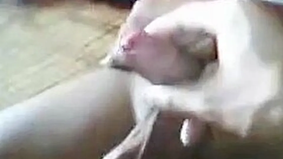 Boy He Met On Holyday - Watch free on Againgay.com