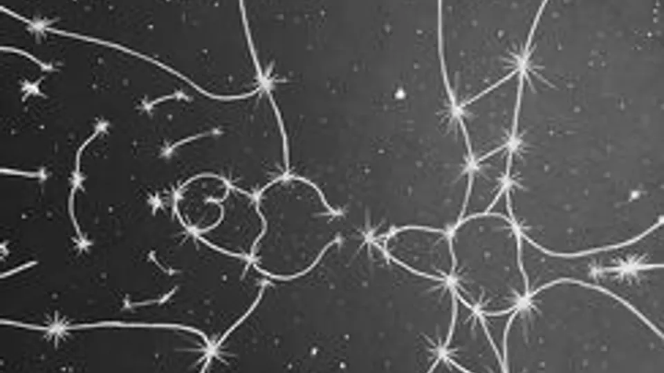 ⭐ Boys Gay Sex Constellation ⭐