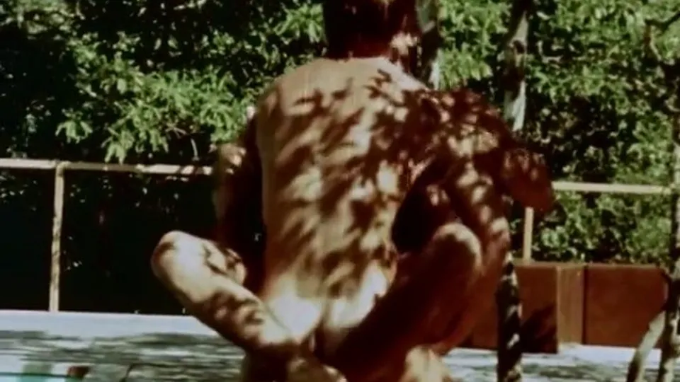 boys in the sand (1971)  — PornOne ex vPorn