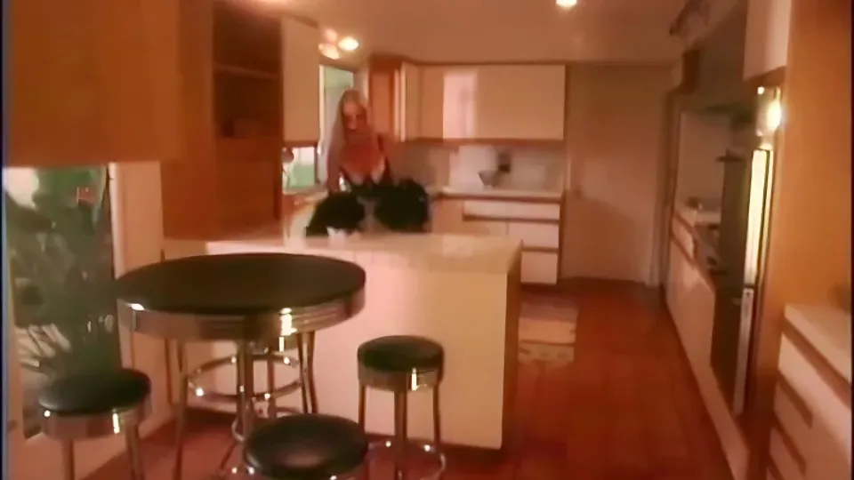 Silvia Saint and Brian Surewood's Passionate Encounter