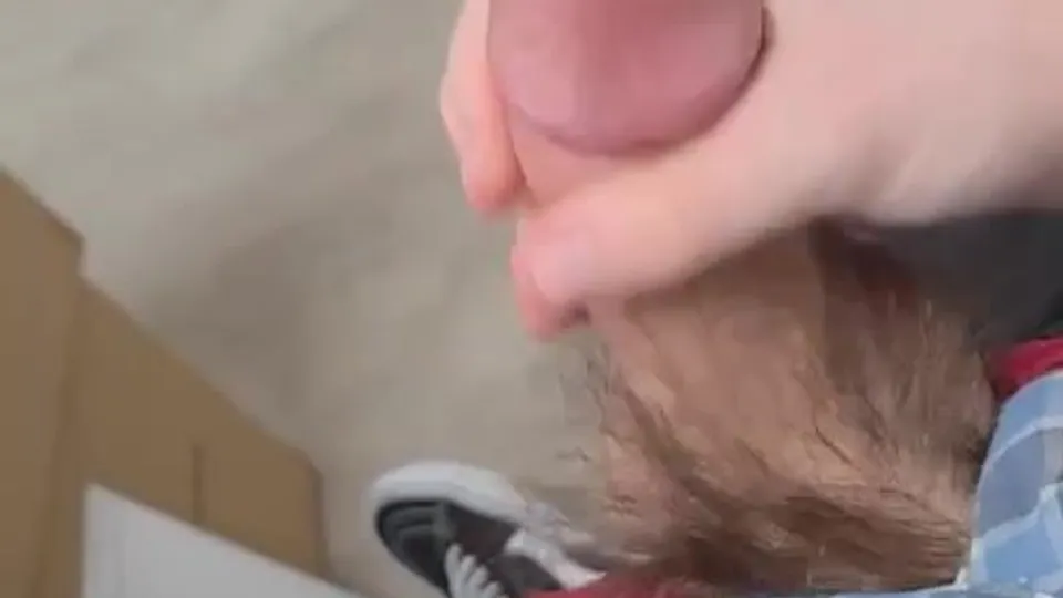 Bro Strokes His Penis In the Middle of Moving - ThisVid.com
