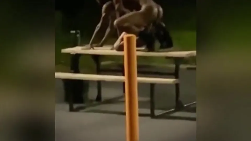 Bros Fuck In The Park - ThisVid.com