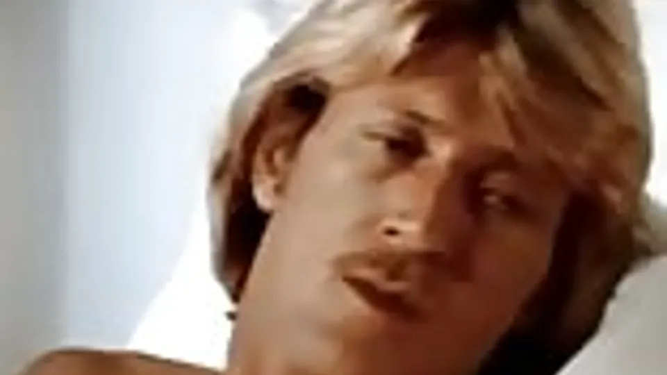 Brothers (1973) gay porn videos