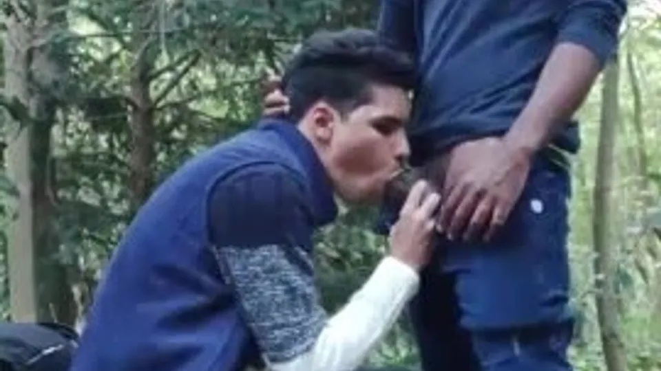 Buddies quick fuck in the forest - ThisVid.com