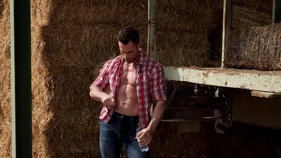 Bulrog Breeds Stas Landon Behind The Hay Bales
