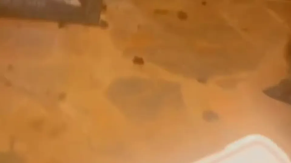 BustinBubblez & Milan Christopher.mp4