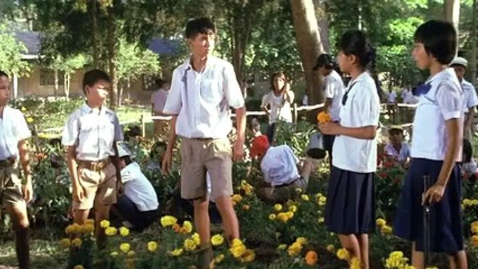 Butterfly and Flowers: A Sensual Encounter