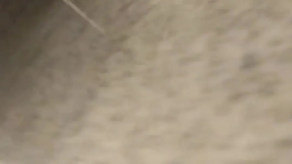 Caught 88 - ThisVid.com