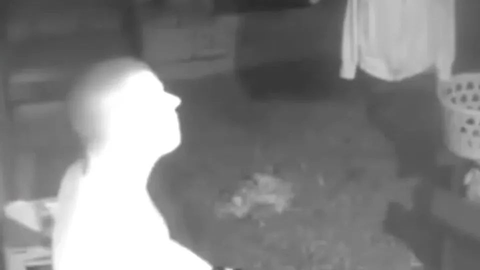 Caught by IPTV camera - ThisVid.com