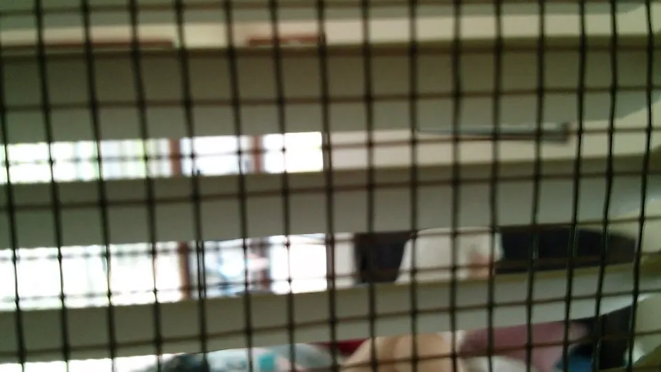 Caught Fucking Fleshlight - video 3 - ThisVid.com