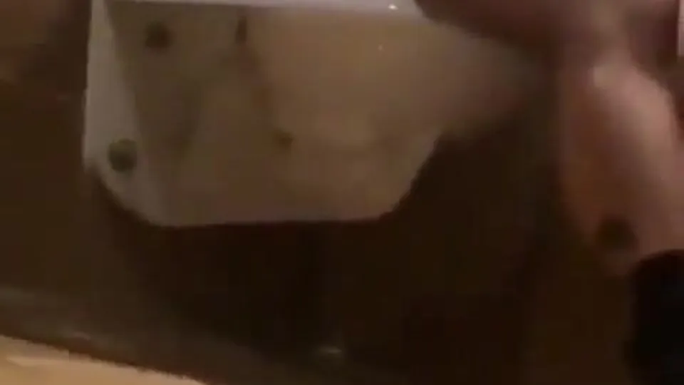 Caught Stroking Huge Cock In Toilets