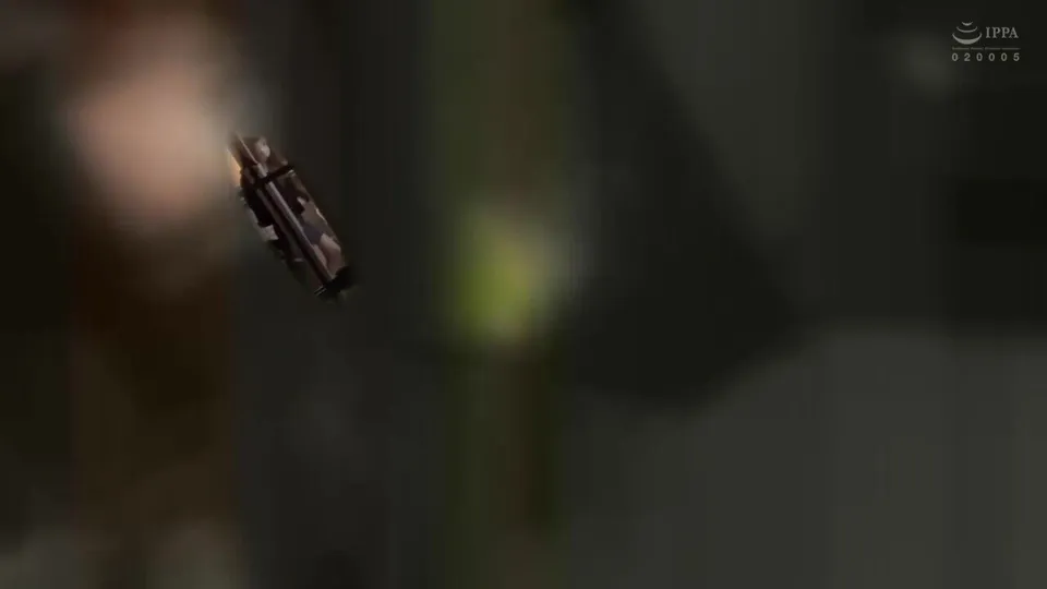 Censored Japanese AV Scene