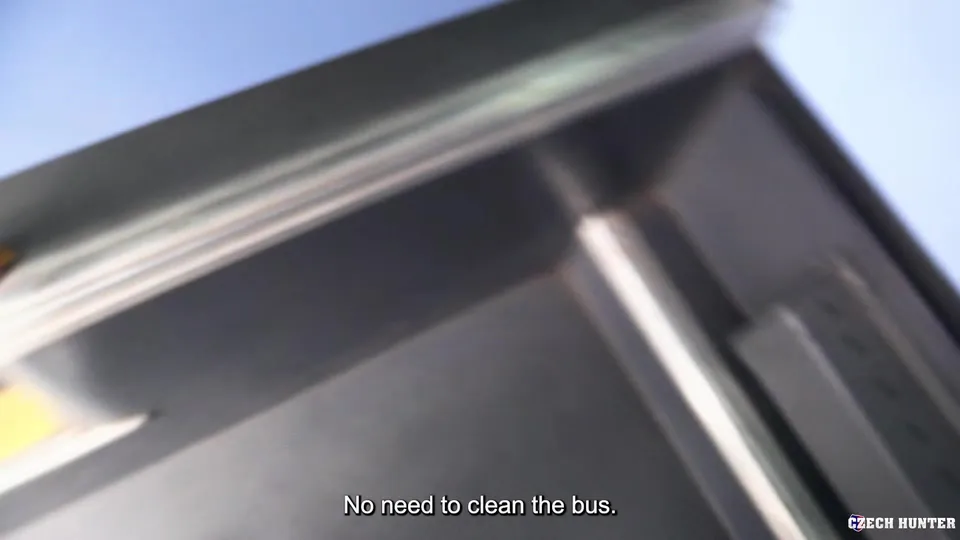 Lilac Top Twink's Bus Encounter