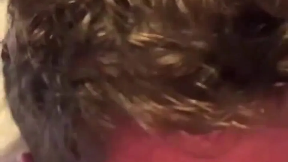 Charlie Puth's Solo Tease