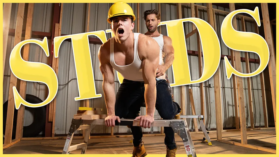 Clark Reid & Dom King – Studs