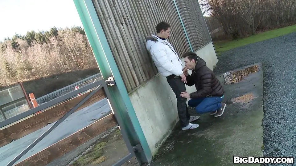 Schwule Jungs blasen sich in der Öffentlichkeit