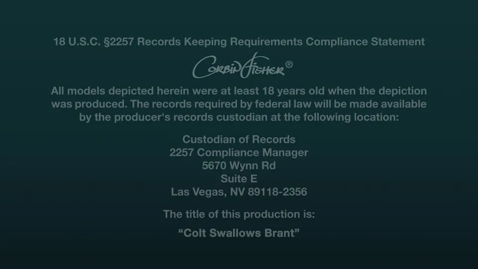Colt Swallows Brant