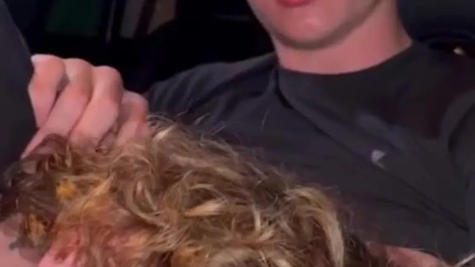 Connor4woods - Twink Blowjob in the Car