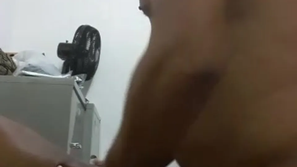 COROA DOTADO - ThisVid.com