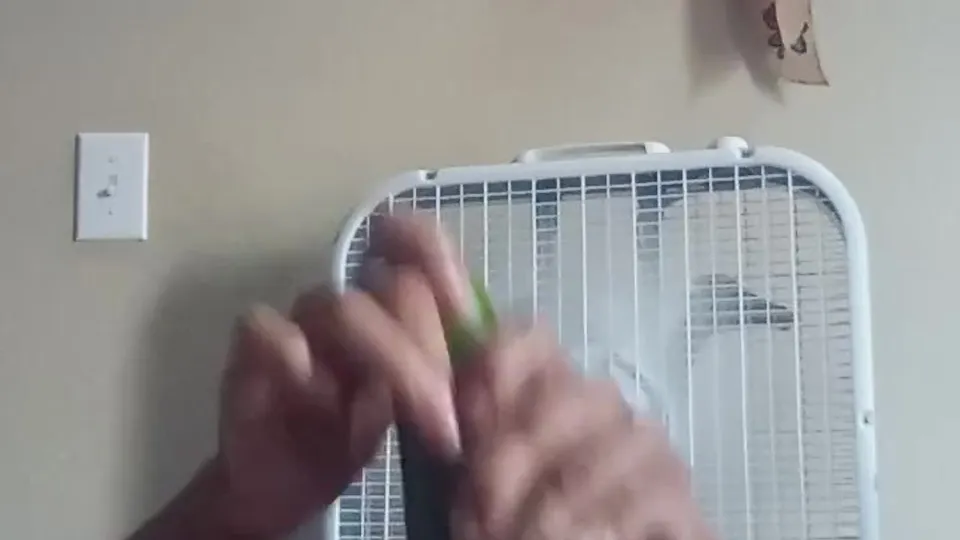 Mature Cougar Grey Pussy