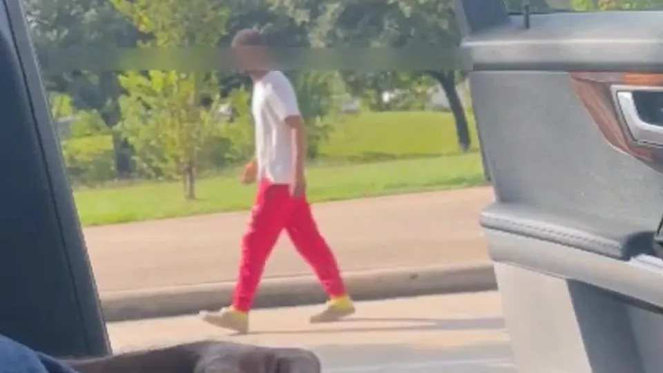 Cruising for cock in the lot