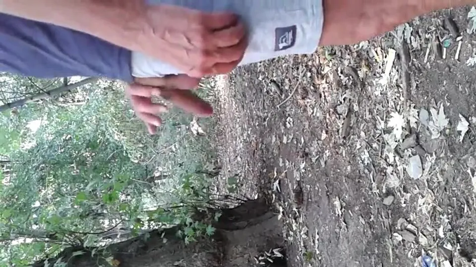 CRUISING WOODS - CRUISING NEL BOSCO1