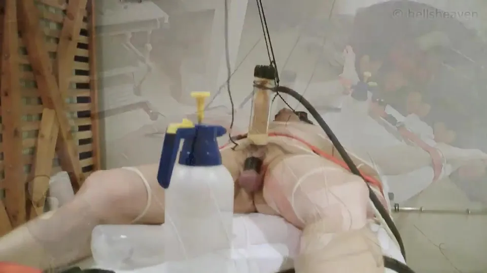 Cum Cow Training - ThisVid.com