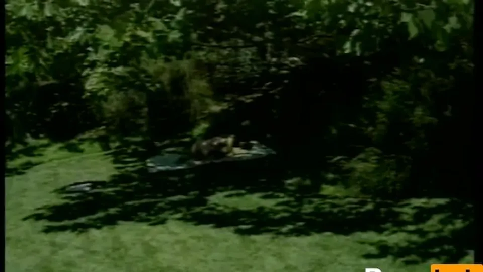 Cum Stains 02 - Scene 14