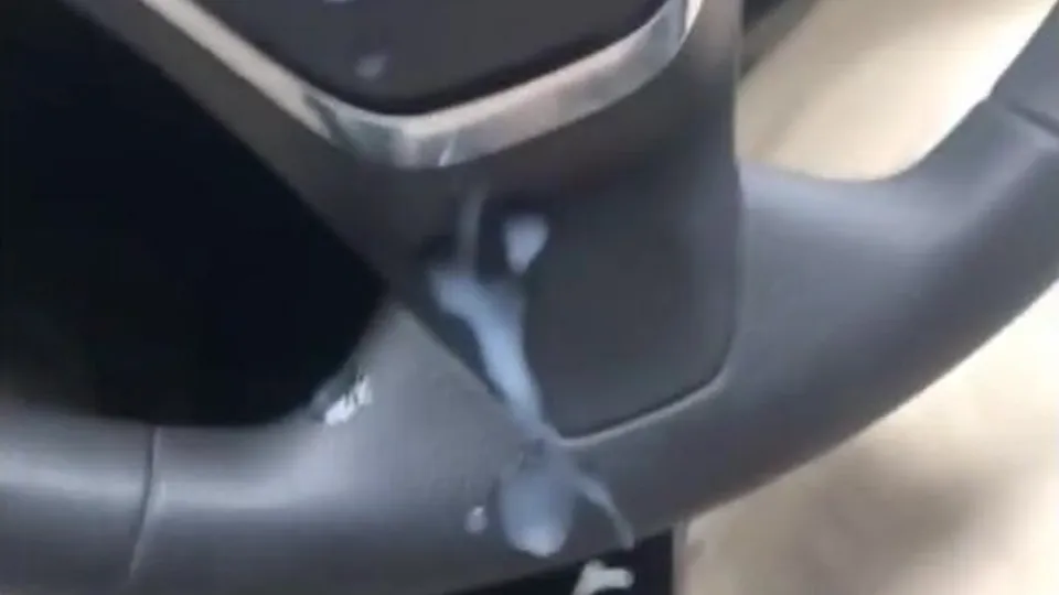 Cumming all over the car.