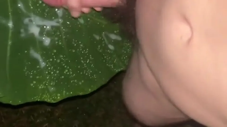 Cumtagging plants at night - ThisVid.com