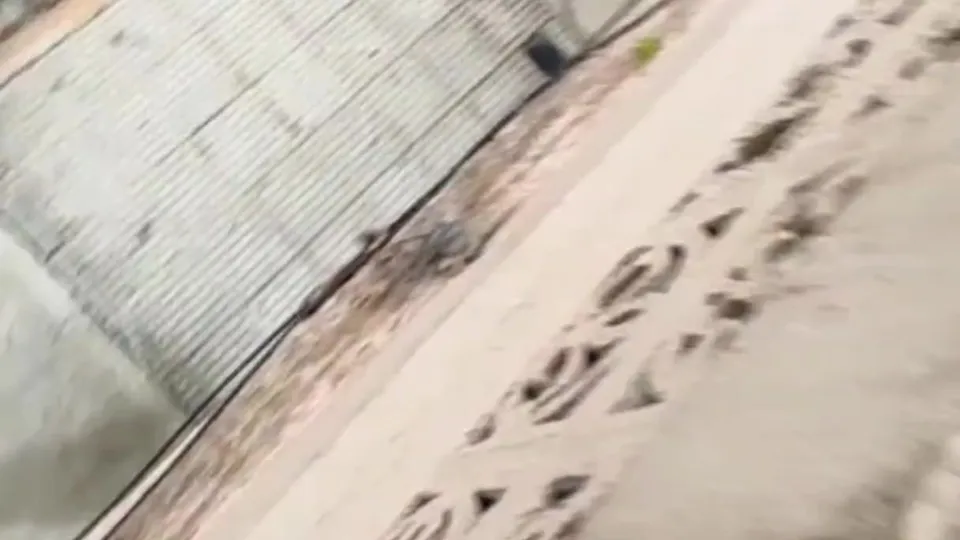 Blonde Latina Peeing in Shorts