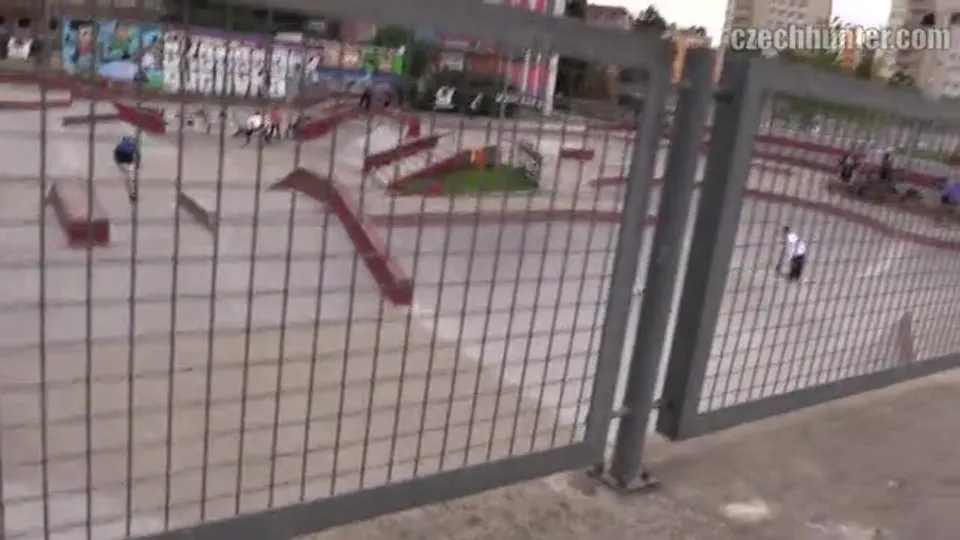 Brother's Skate Park Challenge