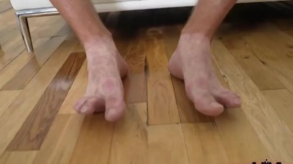 Dan Damage