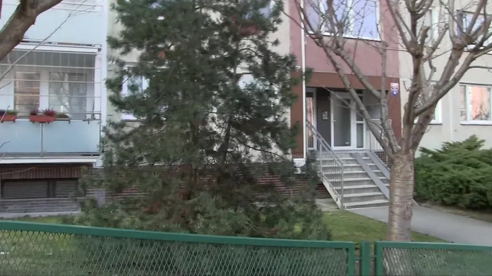 Debt Paid in Intimate Oral Encounter