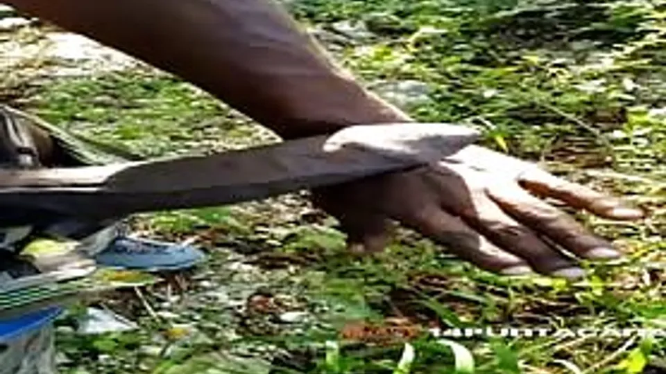 Delicious and huge african cock