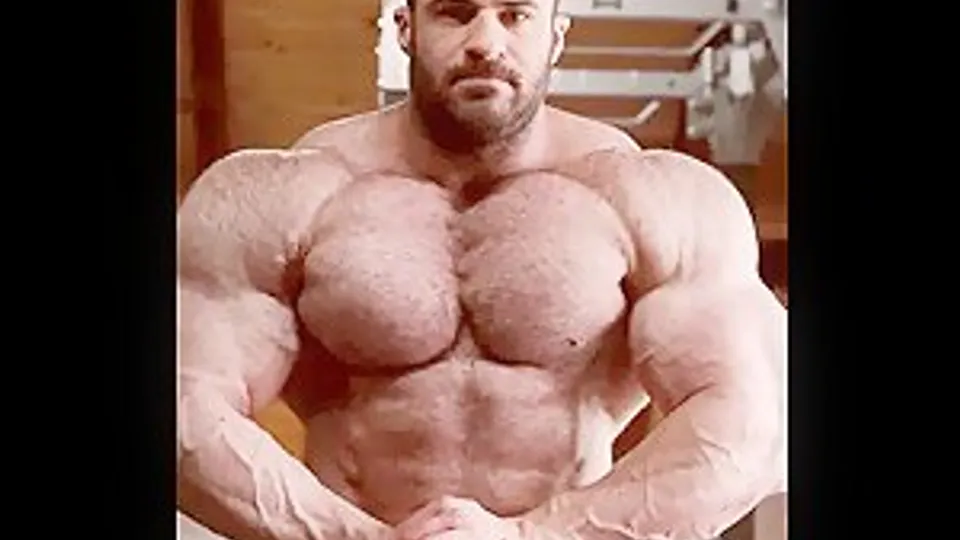 데니스 레인홀드 솔로 세션