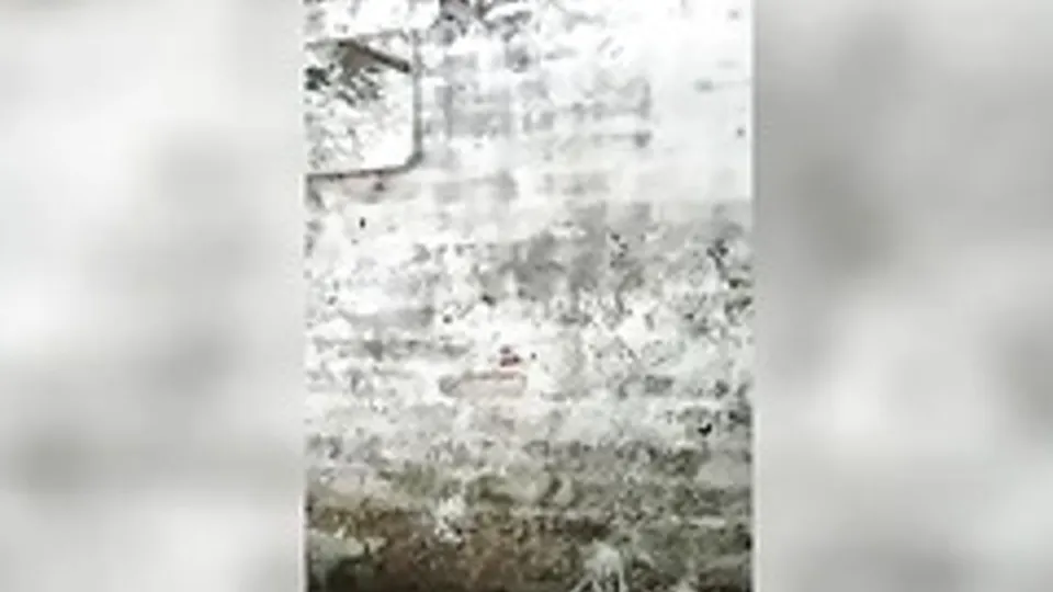 Desi Boy Bathing and cleaning his big Dick