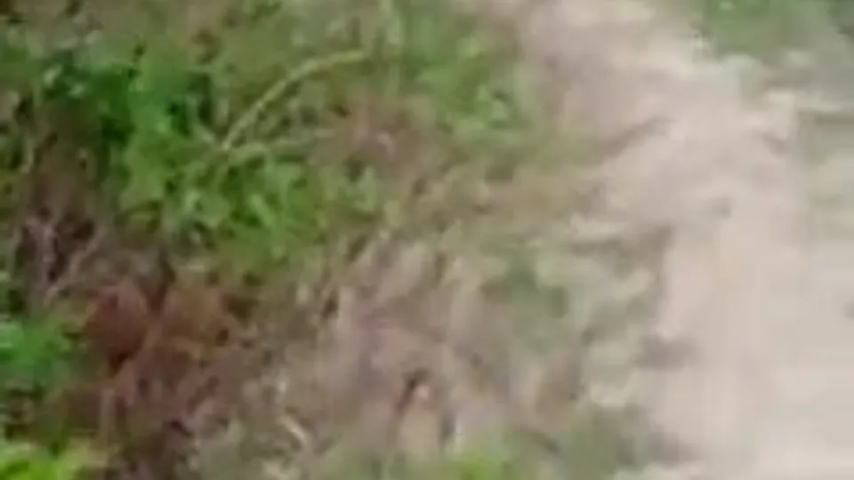 Desi boy caught masturbate openly field - ThisVid.com