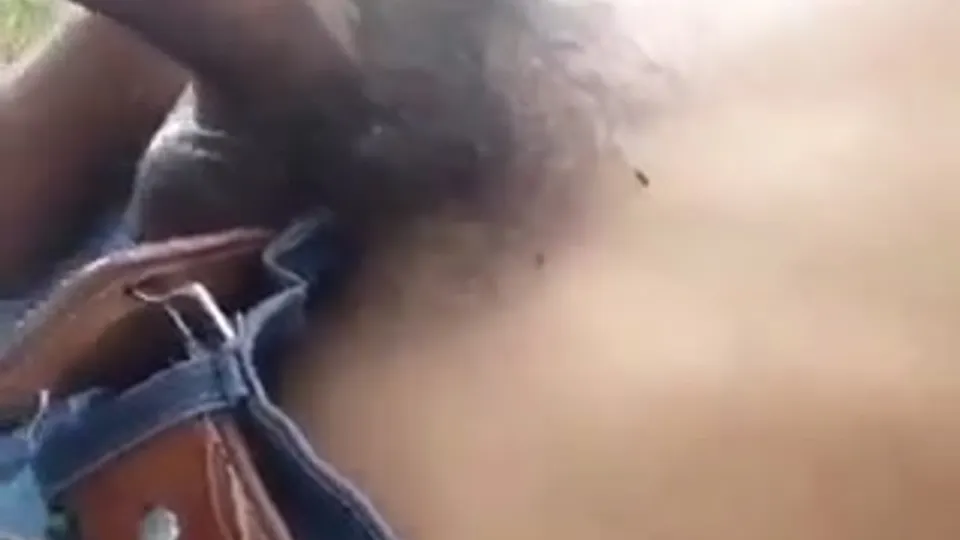 Desi Indian Friends sucking in open area - ThisVid.com
