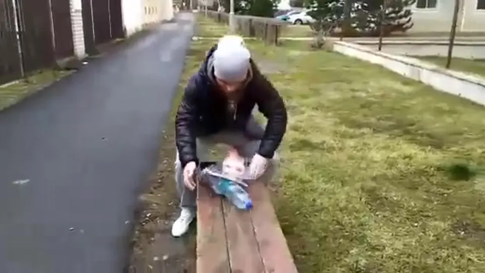 Dick out is the new third helping hand for shopping. - ThisVid.com