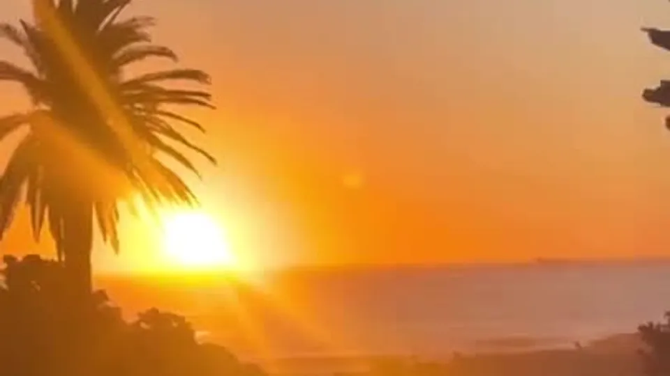 Diego Barros Sucked In Paradise.mp4