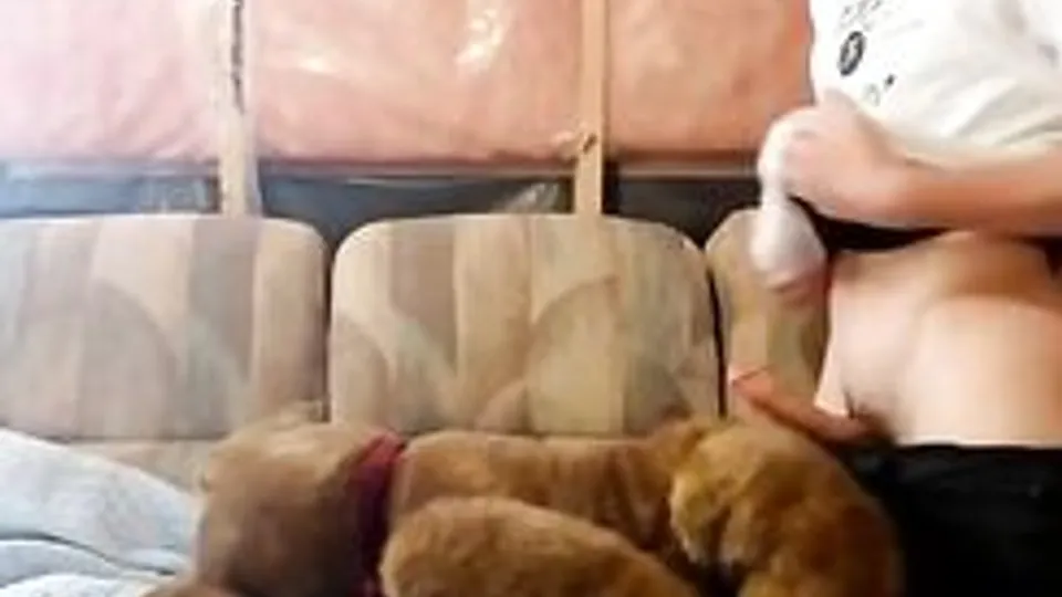 different use for a teddy bear
